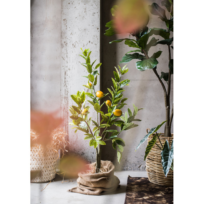 Gracie Oaks Faux Lemon Tree Wayfair
